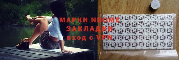 твердый Новозыбков