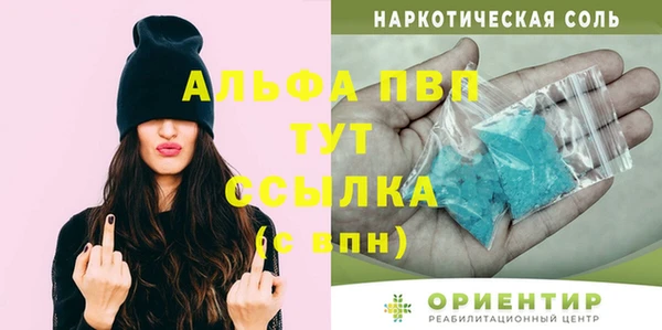 индика Нефтекумск