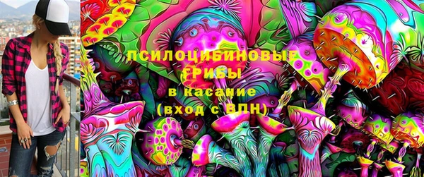 индика Нефтекумск