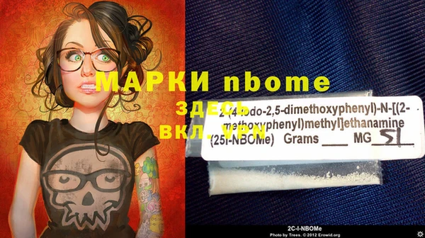 твердый Новозыбков