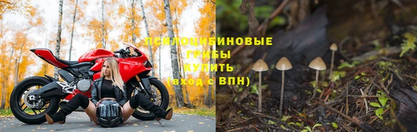 индика Нефтекумск