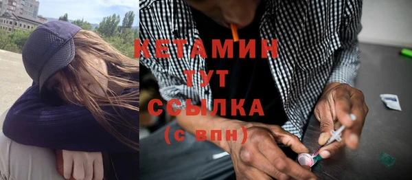 твердый Новозыбков