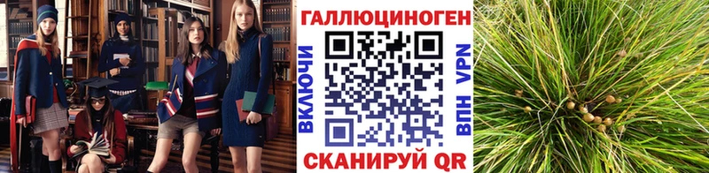 Галлюциногенные грибы прущие грибы  Краснозаводск 