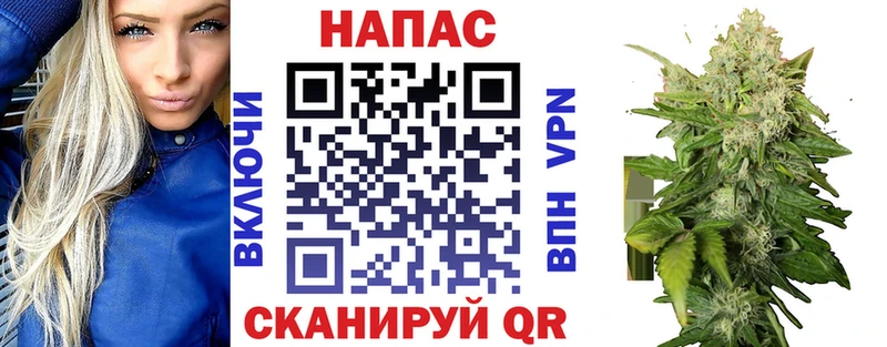 hydra зеркало  купить наркотик  Краснозаводск  Бошки Шишки Amnesia 
